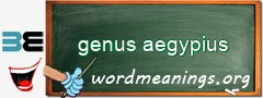 WordMeaning blackboard for genus aegypius